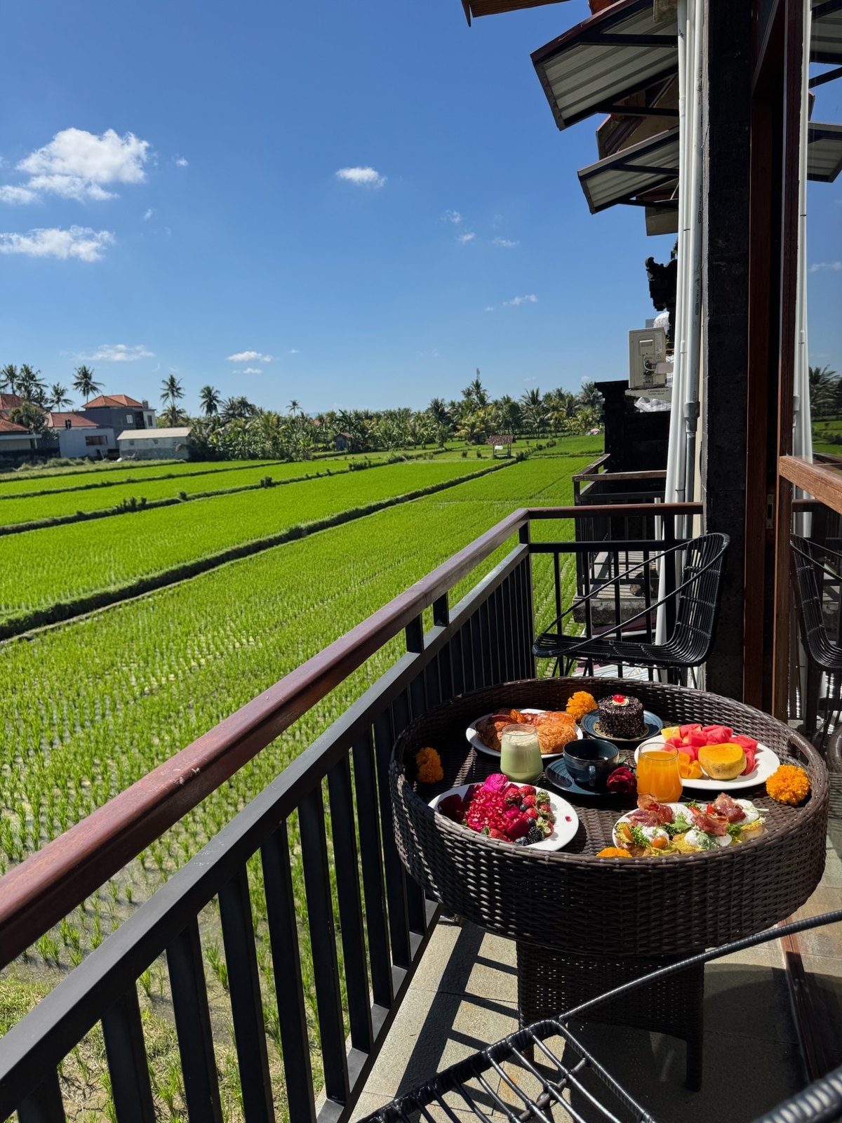 Breakfast served on the balcony overlooking bright green rice fields