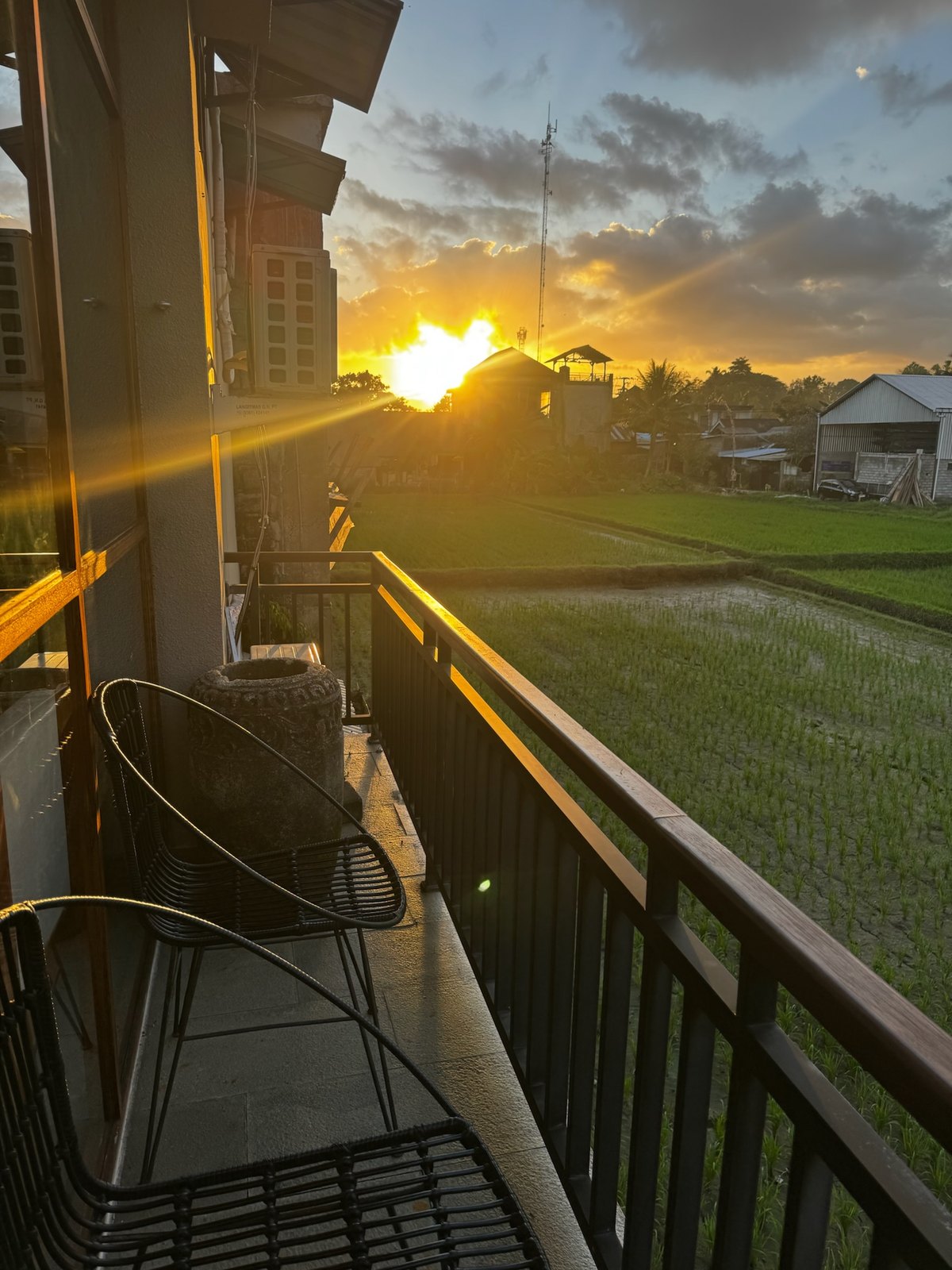 Vue sur les rizières depuis la Villa Amaluku, site réalisé par SoWeb